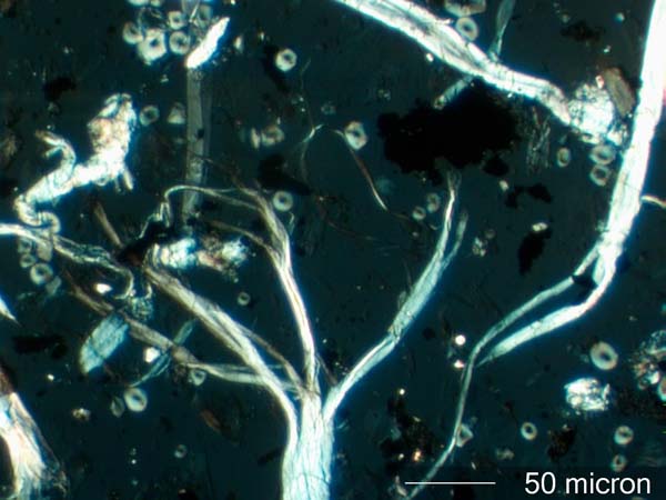 Degraded Paper Fiber