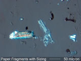 Paper Fiber with Sizing