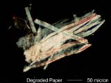 Degraded Paper Fiber
