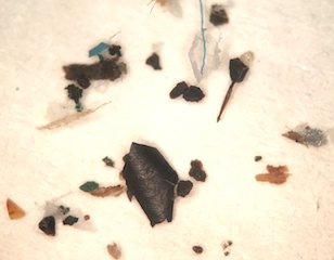 Particles From Transformer Oil
