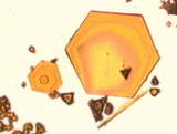 Lead Iodide Crystals