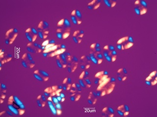 Pea Starch Under the Microscope