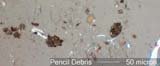 Pencil Debris Under the Microscope