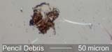 Pencil Debris Under the Microscope