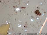 Pencil Debris Under the Microscope