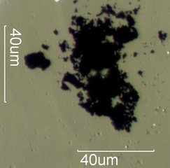 Pencil Lead Dust Under the Microscope