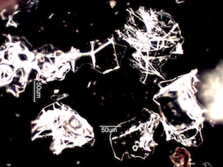 Perlite Under the Microscope