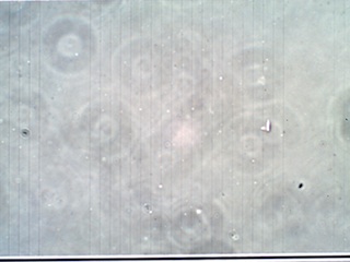40X 0.65 NA Phase Contrast Image of HSE Groups 5, 6, and 7