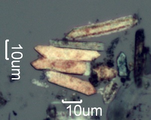 Pyrolized Phytoliths