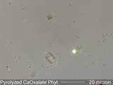 Pyrolized Phytoliths