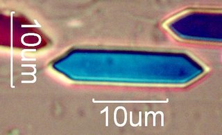 Calcium Oxalate Bipyramidal Pinacoids
