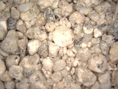 Sand from Pinnacles State Park, Washington