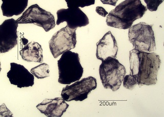 Sand from Pinnacles State Park, Washington