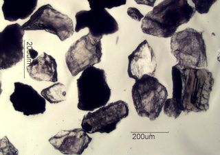 Sand from Pinnacles State Park, Washington
