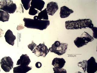 Sand from Pinnacles State Park, Washington