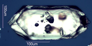Inclusions in Zircon