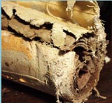 Pipe Insulation