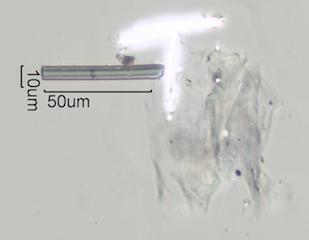 Glass Fiber Look-A-Like