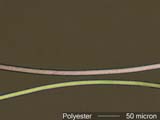 KODEL Polyester Fiber