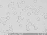 KODEL Polyester Fiber, Cross-Section