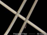 Polyester Fiber