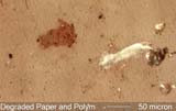 Polymer Flake
