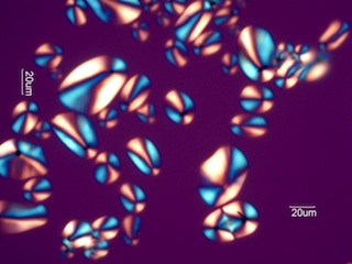 Potato Starch Under the Microscope