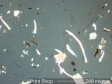 Print Shop Particles