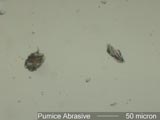 Pumice