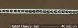 Rabbit Fleese Hair
