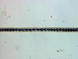 Rat Fleese 400X Main Shaft