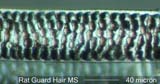 Rat Fleese Hair