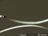 ZANTREL Rayon Fiber