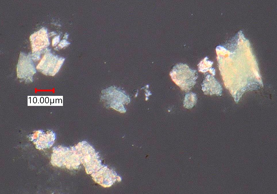 Pyrolyzed Calcium Oxalate Phytoliths