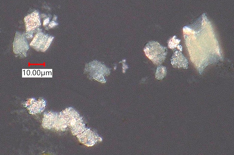 Pyrolyzed Calcium Oxalate Phytoliths