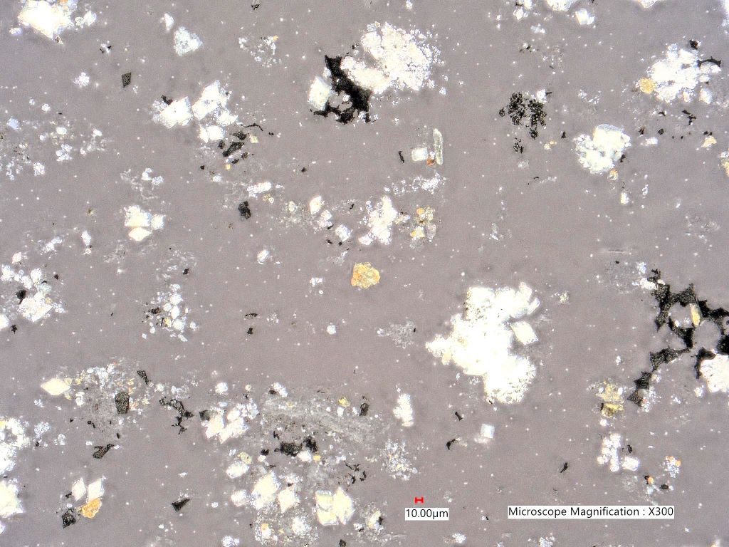 Pyrolyzed Calcium Oxalate Phytoliths