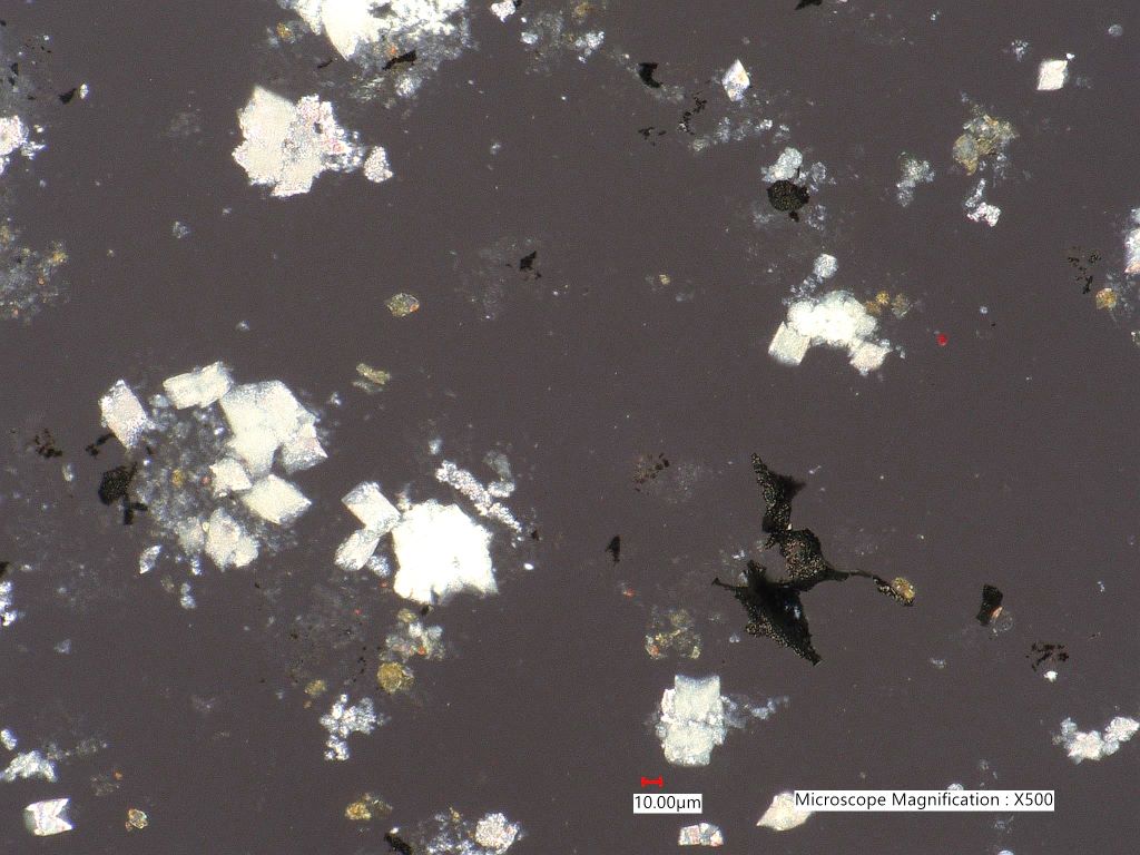 Pyrolyzed Calcium Oxalate Phytoliths