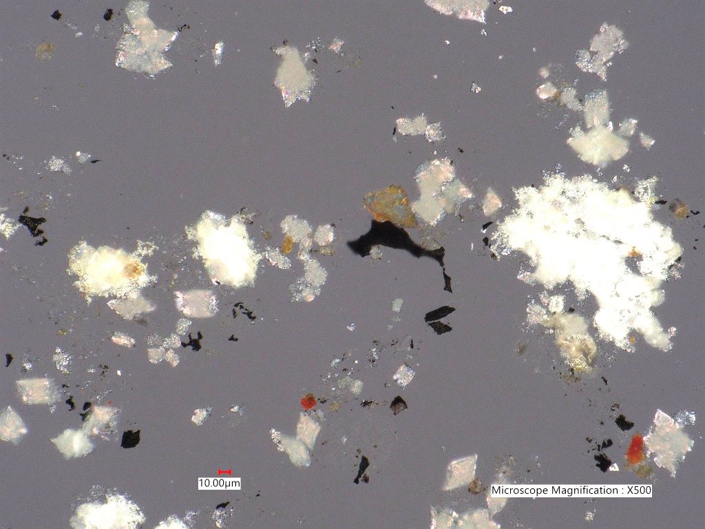 Pyrolyzed Calcium Oxalate Phytoliths