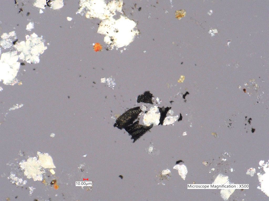 Pyrolyzed Calcium Oxalate Phytoliths