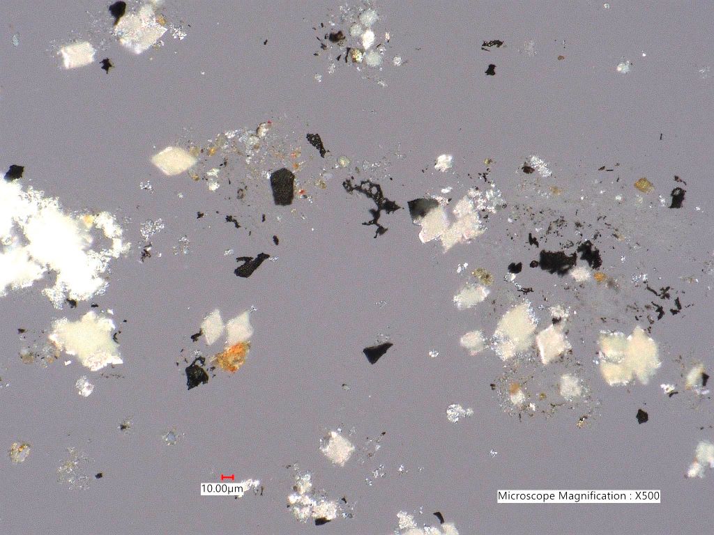 Pyrolyzed Calcium Oxalate Phytoliths