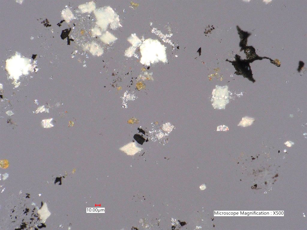 Pyrolyzed Calcium Oxalate Phytoliths