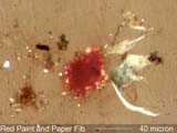 Red Paint Flake