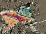 Red Sea Sea Salt at Jeddah
