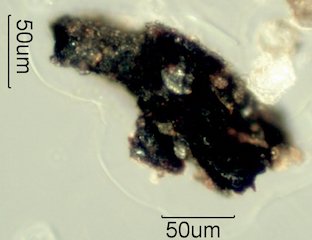 Asphalt Particle