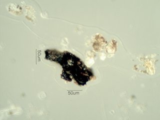 Asphalt Particle