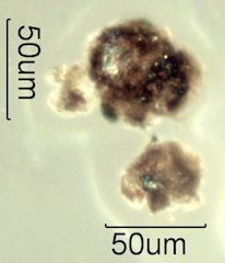 Asphalt Particle