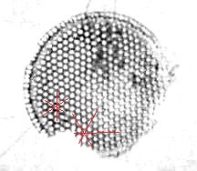 Diffraction Pattern