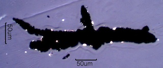 Rubber Wear Particles