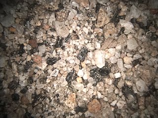 Ruku Pichincha Volcanic Sand