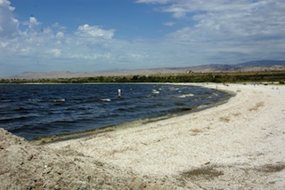 Salton Sea Beach, CA